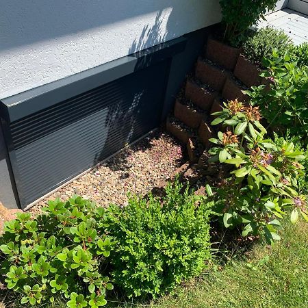 Appartement "Buddha" Langelsheim Exteriör bild